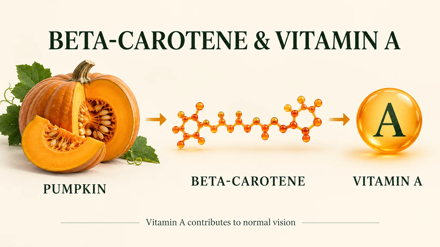 Diagram showing beta-carotene in pumpkin as a provitamin A carotenoid that can contribute to vitamin A intake